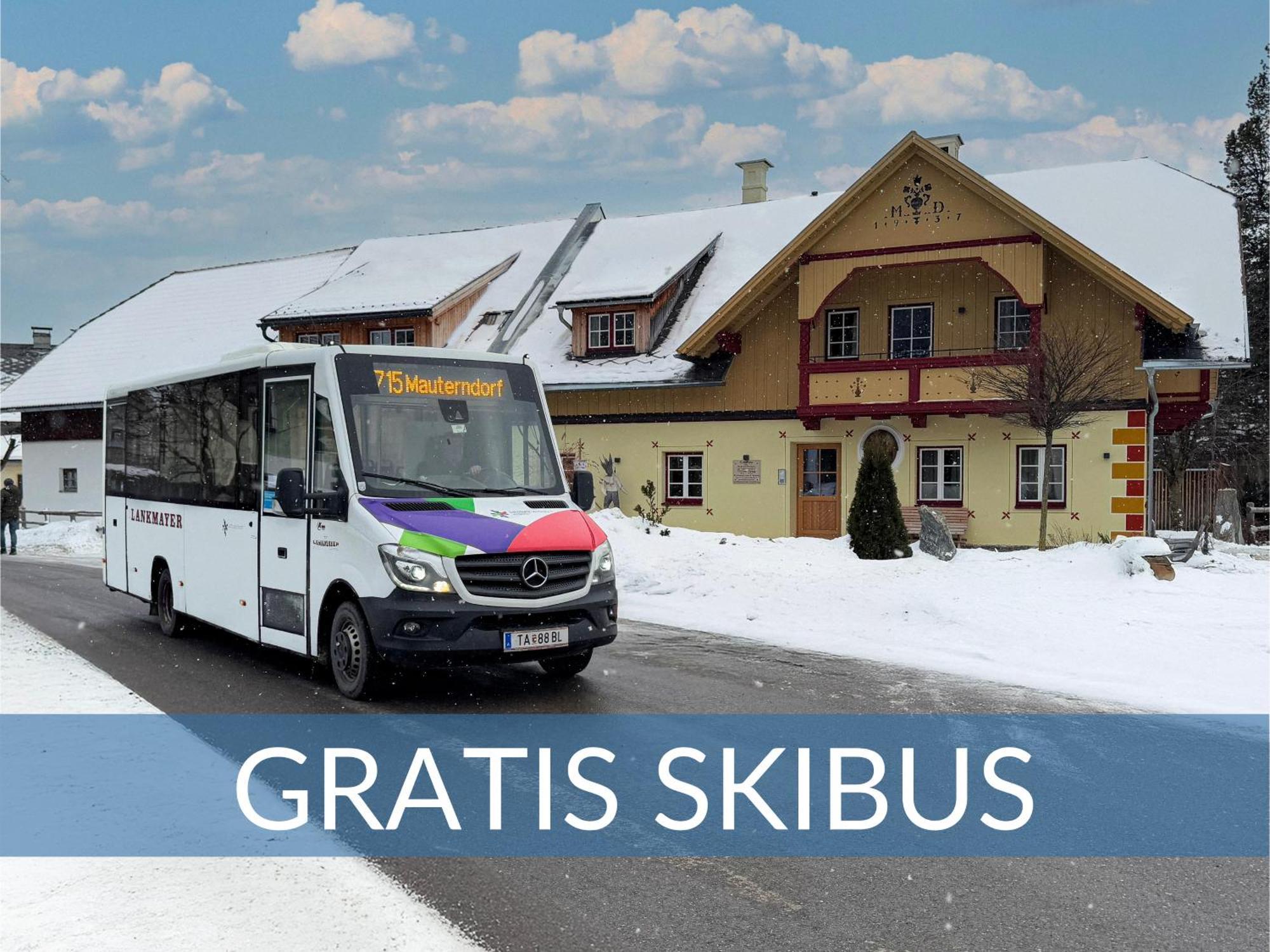 Heimathaus Dengg - Ferienwohnungen - Sommerfrische In Den Alpen Mauterndorf  Exterior foto